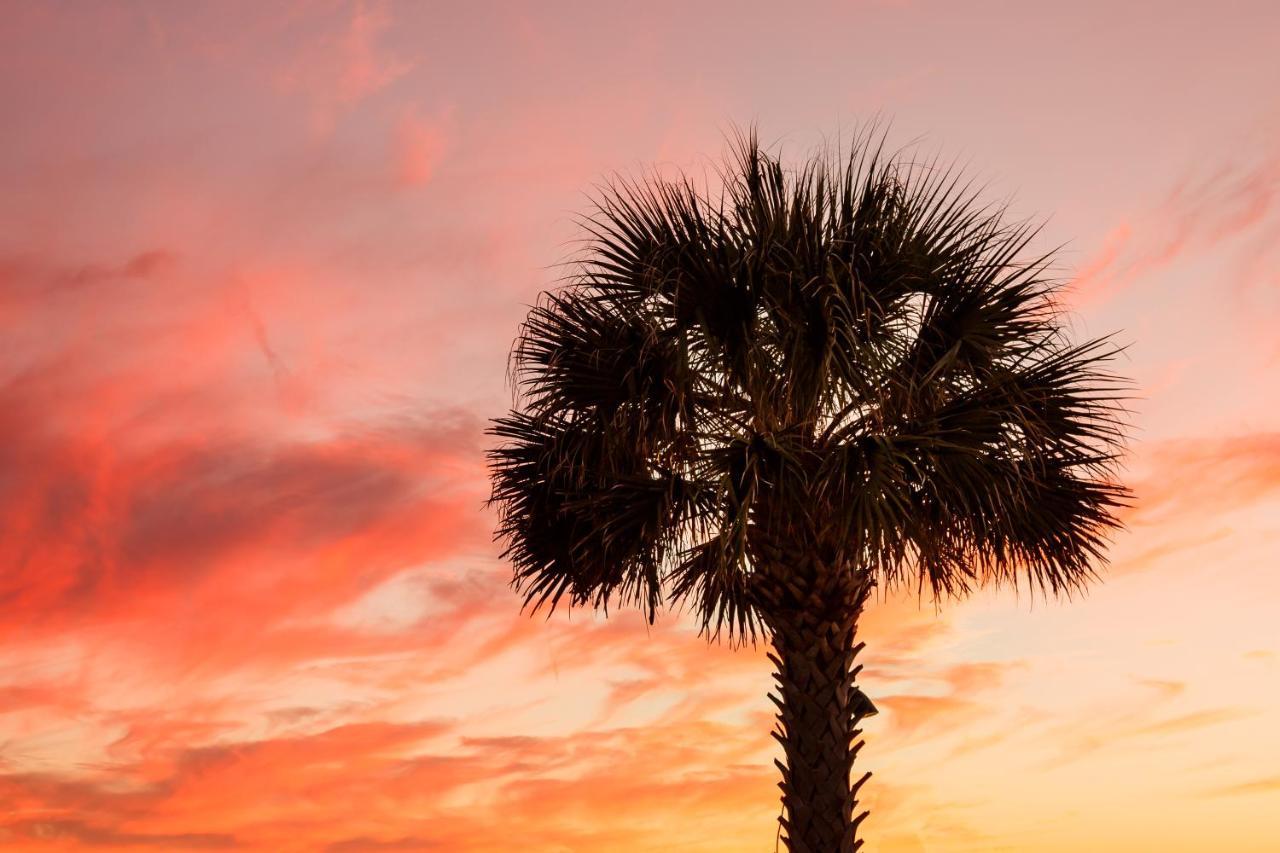 1314 Pelican Watch - Seabrook Island - Beachfront 5 Star Condo - Fido Friendly Exterior photo