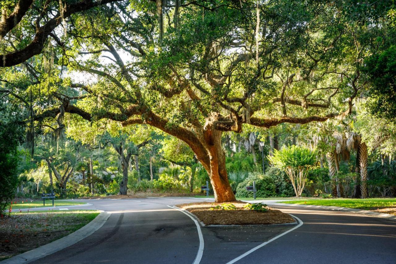 1314 Pelican Watch - Seabrook Island - Beachfront 5 Star Condo - Fido Friendly Exterior photo